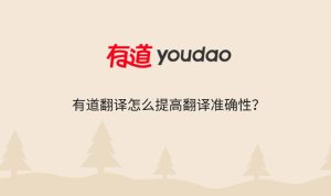 有道翻译电脑版划词功能设置与常见问题解析？